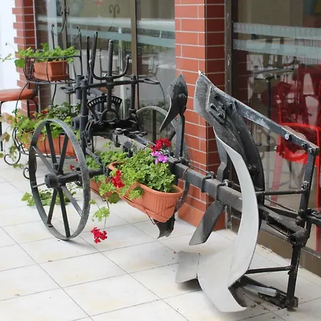 Hotel Park Briz Złote Piaski